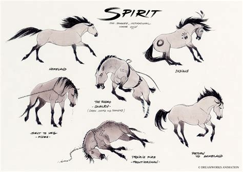 Dreamworks Spirit Stallion Create