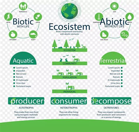 环境 的图像结果