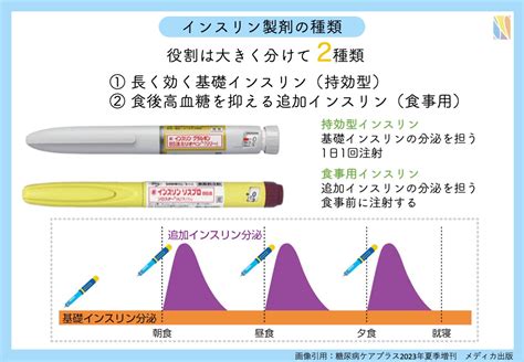Image result for Example of Program Paper