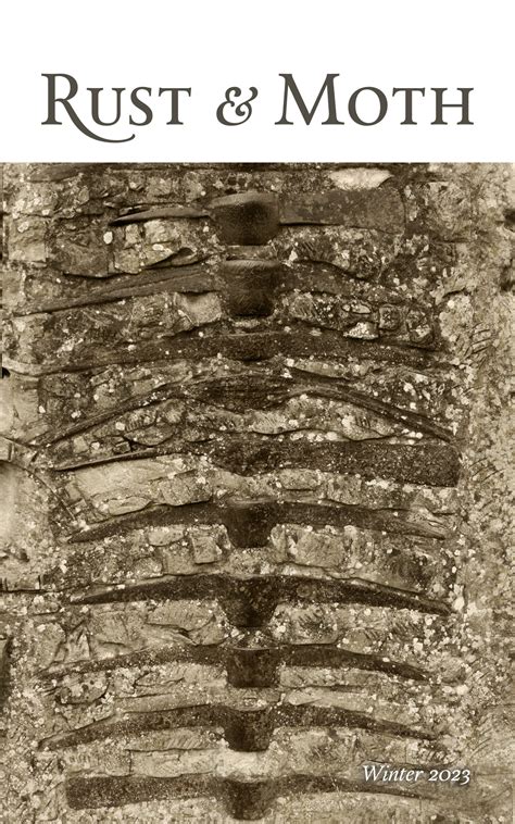 Image result for Moth Moth and Rust