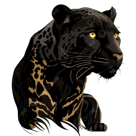 Cartoon Black Jaguar