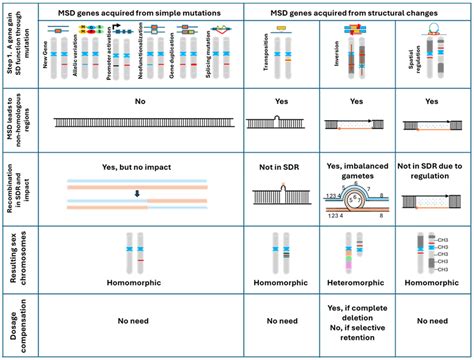 The Cause–Effect Model of Master Sex Determination Gene Acquisition and ...