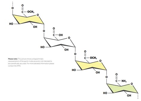 Image result for Pectin Structure Methanol