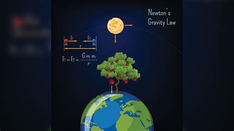 What is a law in science? | Live Science