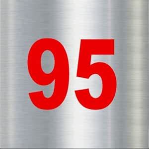 SRGInfotech Number Plate 95 Silver Brushed Type Acrylic Number Plate ...