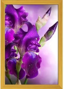 Beautiful Violet Flower Paper Poster Golden Frame Paper Print - Floral ...
