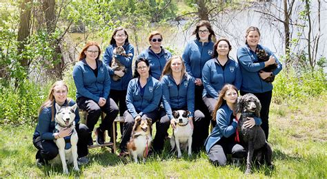 North River Animal Hospital - Veterinarian in Fort Gratiot, MI US