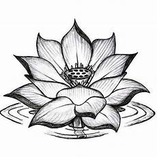 disegni di fiori a matita fiori disegni a matita portalebambini disegni di fiori a matita fiori disegni a matita portalebambini