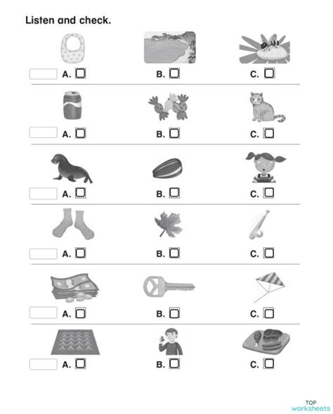 Variables Lesson 5 Activity Unit 6 Practice A 的图像结果