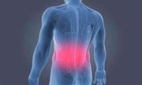 Reduce Sedentary Time, Walk, and Exercise to Prevent Back Pain: Study