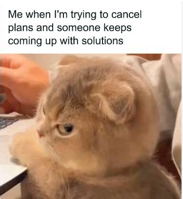 Image result for Side Eye Meme Backyardigans