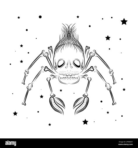 Spider Skull Drawing