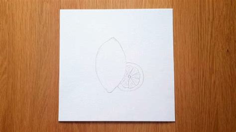 Image result for Simple Inside Lemon Drawing