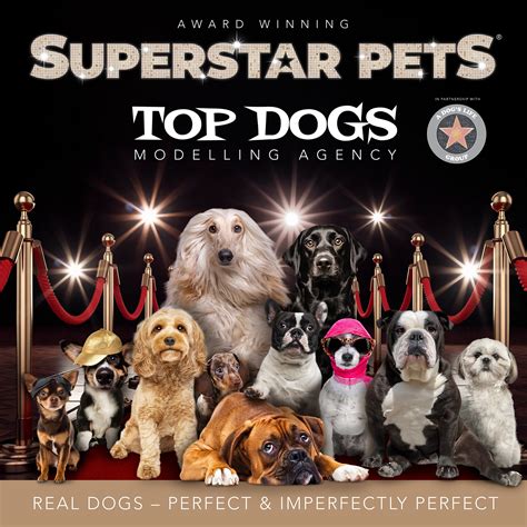 TOP DOGS – Superstar Pets