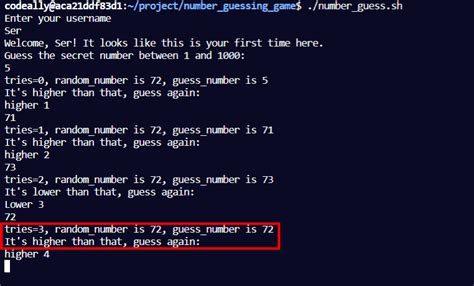 Image result for Random Number Guessing Game Visual Basic