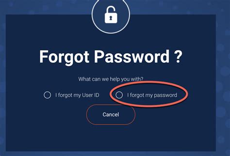 Image result for Forgot Password Solutions