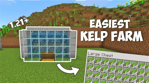 Image result for Auto Kelp Block Farm Java 1 21 5