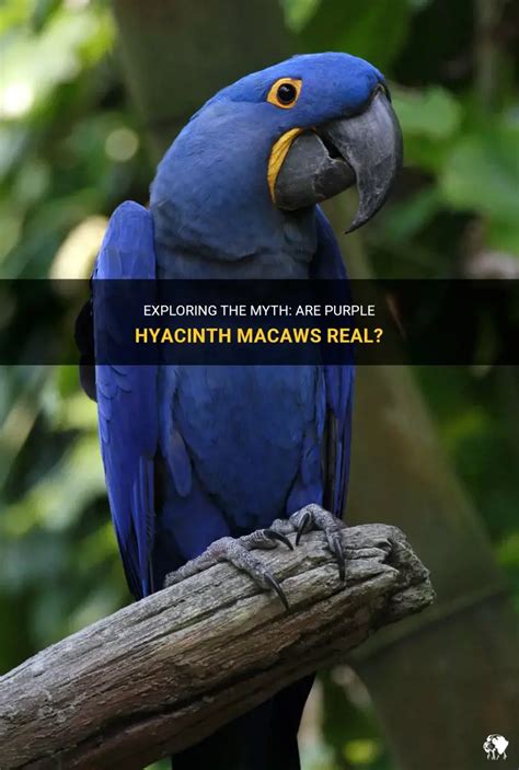 Image result for Modal HTML Example