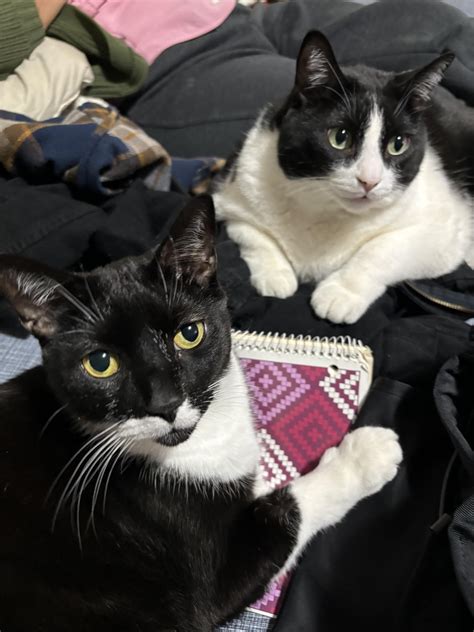 Bruce and Alfred winding down after a long day of fighting crime : r ...