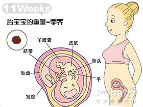 怀孕12周 今天做b超 结果是这样的 医生说可能胎停 好担心 - 百度宝宝知道