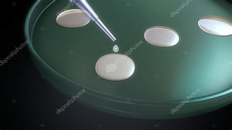 Image result for In Vitro Reproduction
