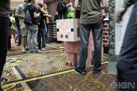 Real Life Minecraft at Minecon 的图像结果