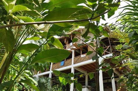 HAITI SURF GUESTHOUSE (Cayes-de-Jacmel) - Guesthouse Reviews & Photos ...