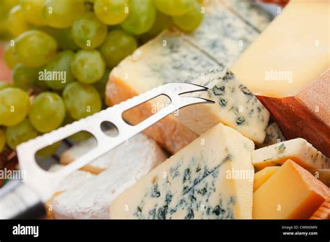 Cheese 的图像结果