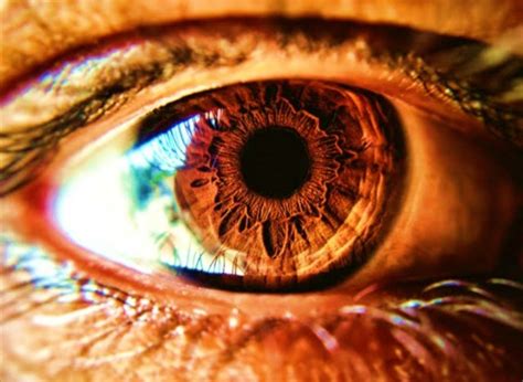 Image result for Intractable Diplopia