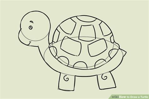 Image result for Simple Turtle Drawing