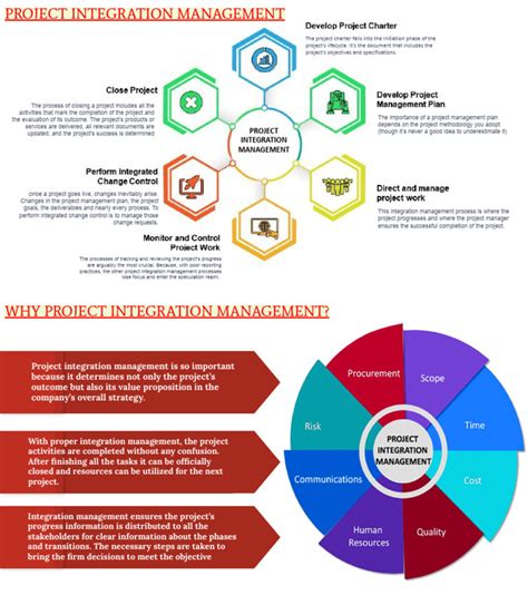 Project Integration Manager 的图像结果