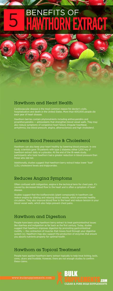 Hawthorn Berry Extract