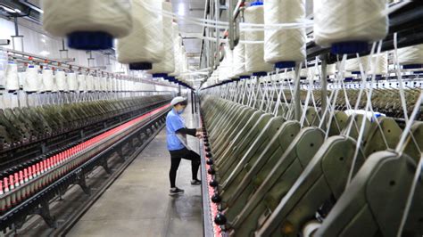 清河：不断推动羊绒产业转型升级