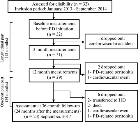 Image result for Capd Flow Sheet