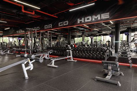 Тренажерный зал в Санкт-Петербурге - лучшая цена | Elite Gym