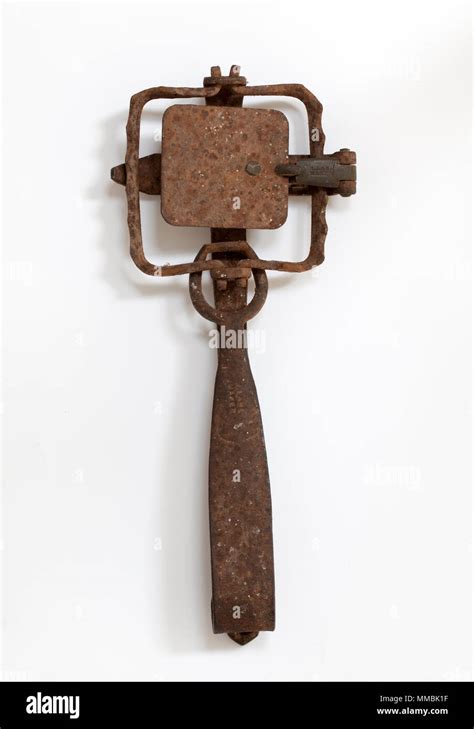 Primitive Spring Trap 的图像结果