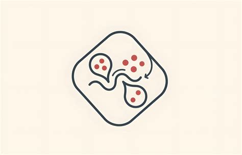 Roof of Your Mouth Itchy? Common Causes and Treatments | The Dental Guide