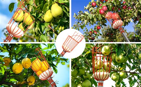 TOVIXY 10 FEET Fruit and Mango Plucker - Equipped with a Net and Pole ...