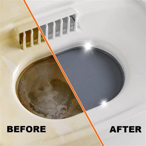 Buy BOLOLO Distiller Cleaner Descaler, Citric Acid Scale Remover ...