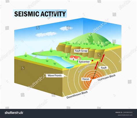 Seismic Activity Diagram Science Education Art Stock Illustration ...