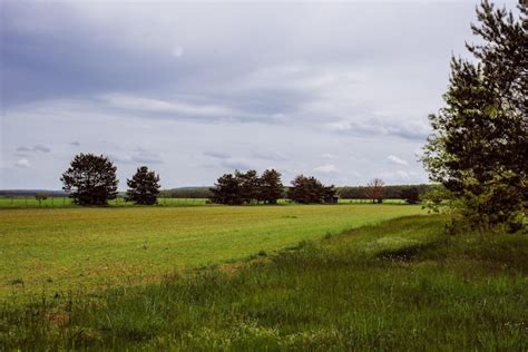 Country Landscape 的图像结果