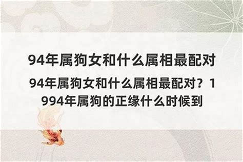 属狗的人应该起什么名字什么样的名字啊？属狗最忌讳什么属相_生肖_若朴堂文化