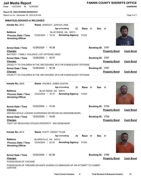 Fannin County Sheriff's Office Arrest Report 12/22 - 12/29/2024 ...