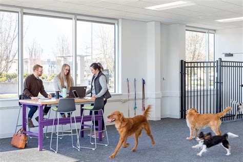 15 Interesting Facts About Veterinarians - Facts.net