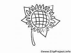 sonnenblume malen nach zahlen malvorlage sonnenblume malvorlage zum malen sonnenblume malen nach zahlen malvorlage sonnenblume malvorlage zum malen