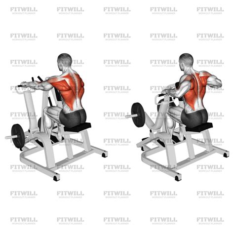 Lever Pronated Grip Seated Row (plate Loaded): Exercise Guide, Video, Techniques, Benefits, How ...