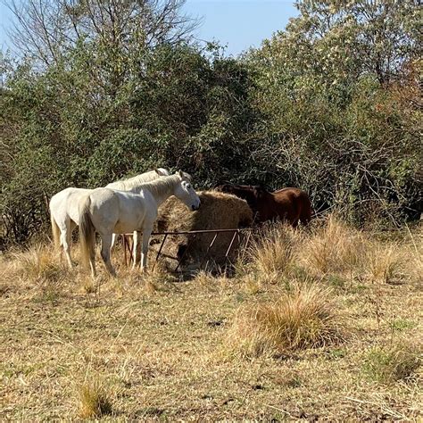 MOUNT PARK GUEST FARM (Impendle) - Farmhouse Reviews, Photos, Rate ...