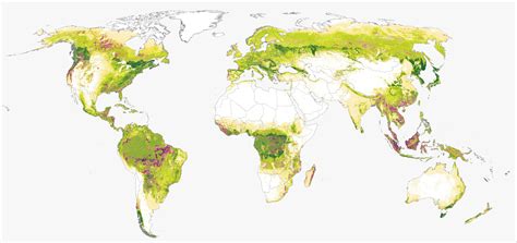 Exploring New Tree Cover Gain and Net Change Data | GFW