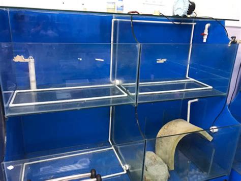 鱼缸自制水循环示意图,无动力水循环鱼缸,无缸供氧器_大山谷图库
