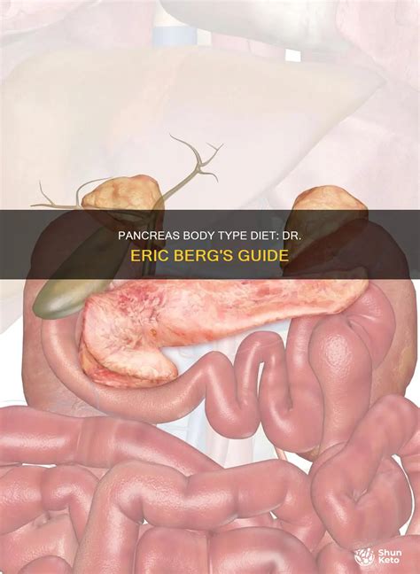 Pancreas Body Type Diet: Dr. Eric Berg's Guide | ShunKeto